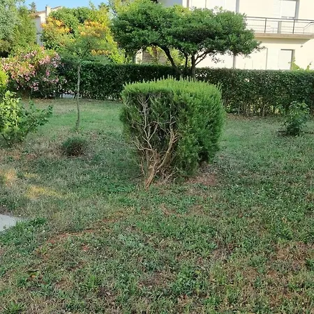 Apartment Ori
